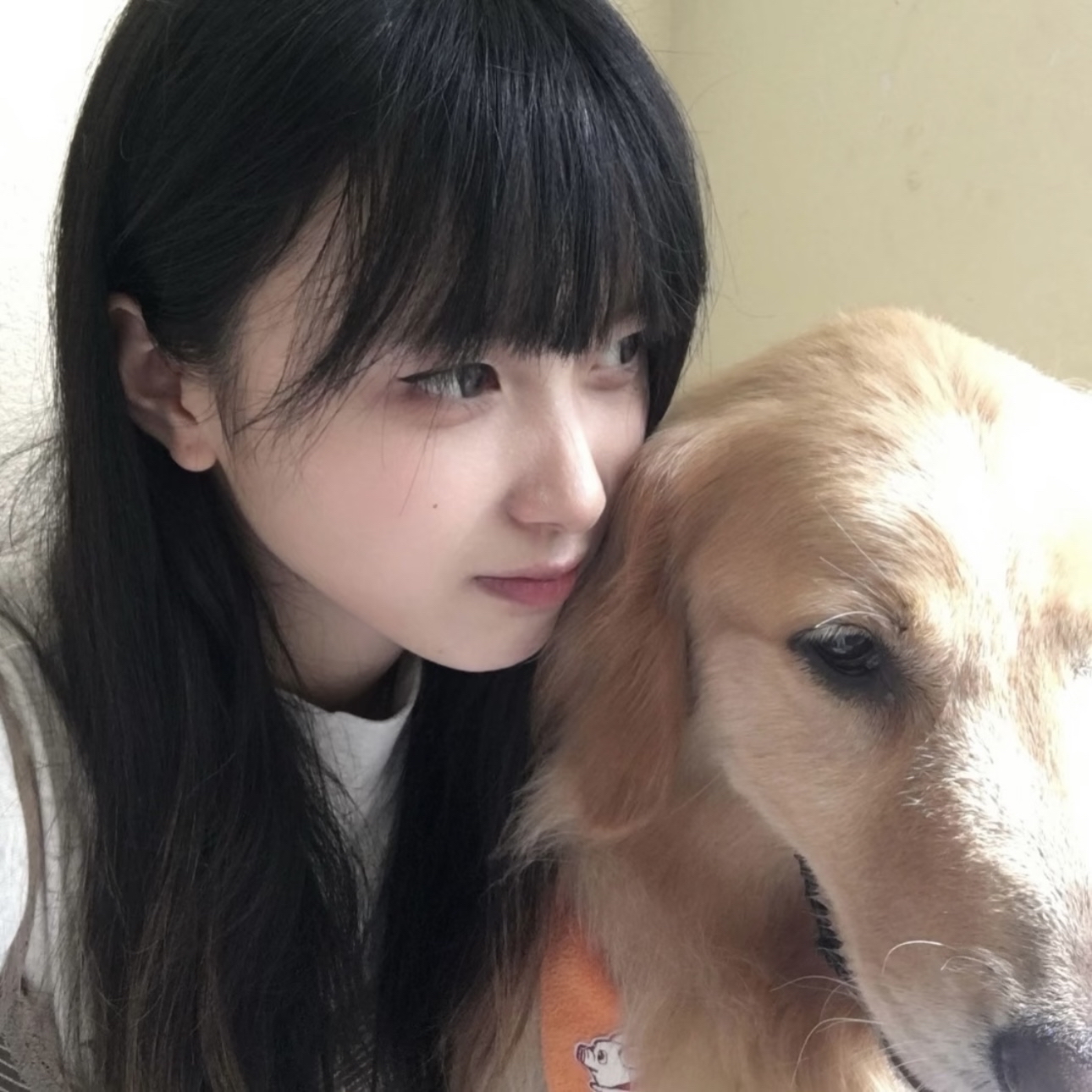 Futurelife-home2-slideshow